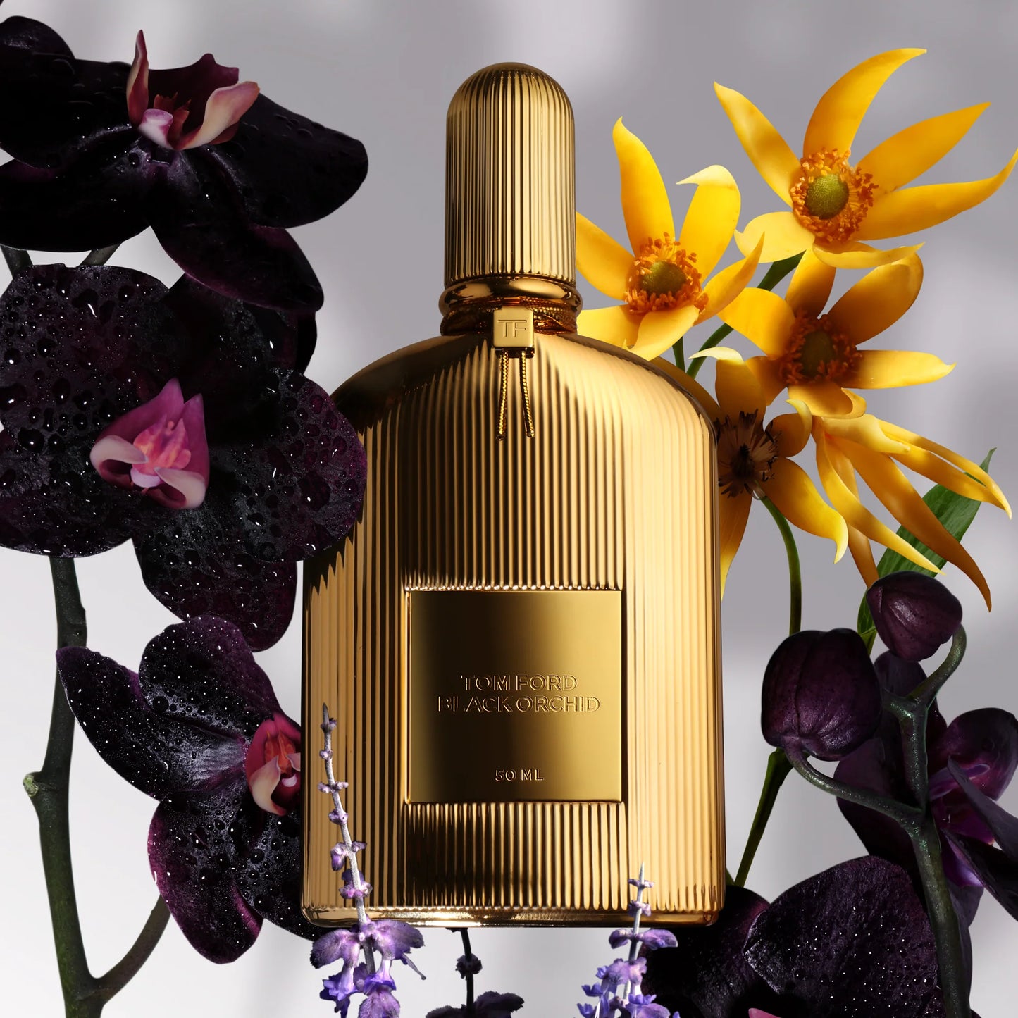 TOMFORD BLACK ORCHID PARFUM