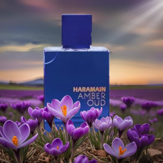 AL HARAMAIN AMBER OUD DUBAI NIGHT