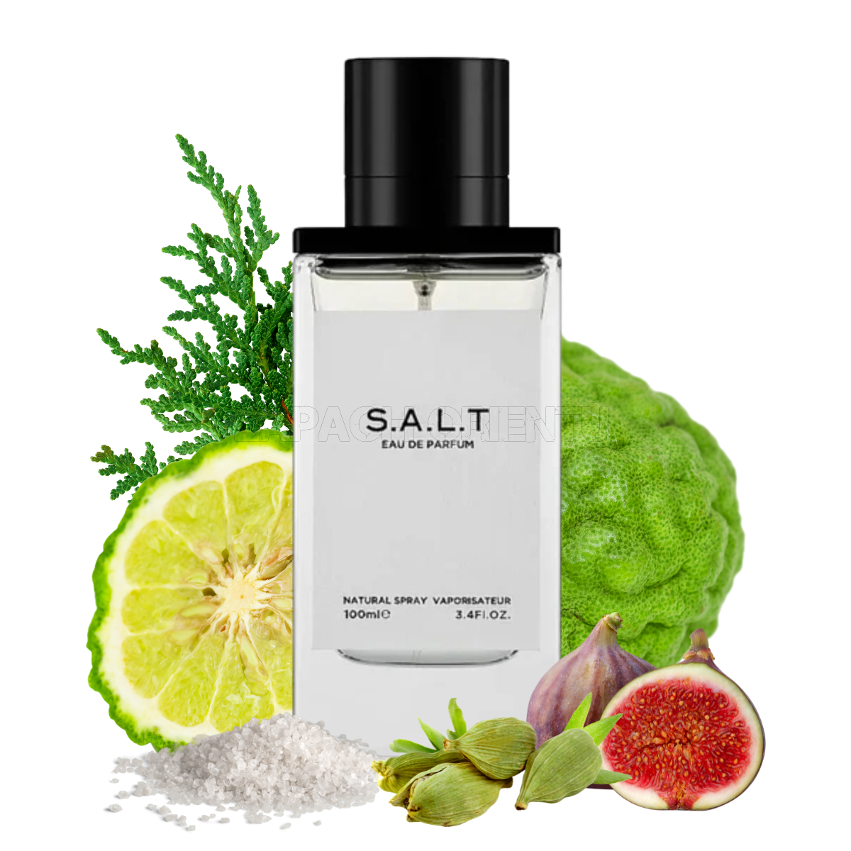 FRAGRANCE WORLD SALT